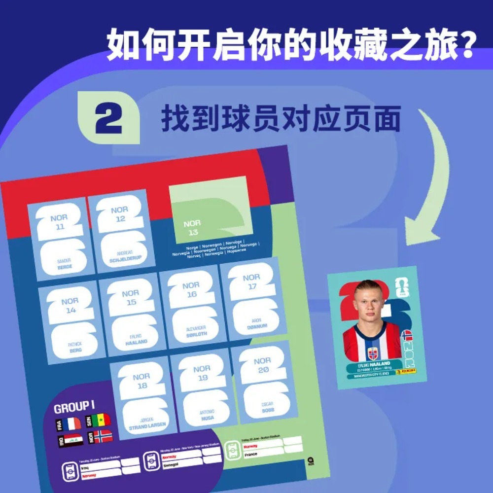 ホットパニーニ 2026 FIFAワールドカップ ステッカー - Sticker Sheet Set のレビューと価格